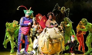 Cirque du Soleil pode declarar falência devido a pandemia de coronavírus