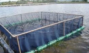 No Amazonas, professor é condenado por não prestar contas de recursos