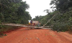 Sem esperar governo, indígenas fecham estradas e expulsam garimpeiros contra coronavírus