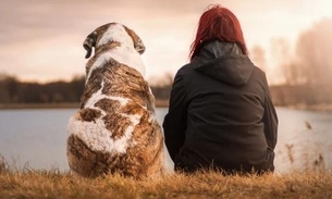 Entenda a diferença entre o coronavírus humano e os coronavírus em animais