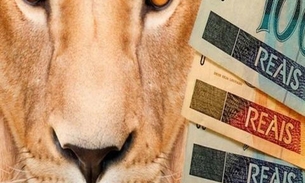 Simples Nacional prorroga recolhimento de tributos para MEIs por 6 meses