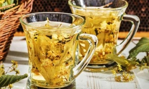 Chá de carqueja protege cérebro e coração; conheça benefícios
