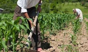 Por ter vínculo a trabalho urbano, Justiça nega aposentadoria rural