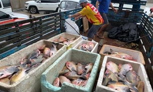 No Amazonas, entidades civis recebem 16 toneladas de pescado doado