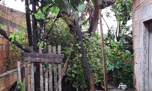 Chuva causa tombamento de árvores, desabamento de casa e deslizamentos em Manaus 