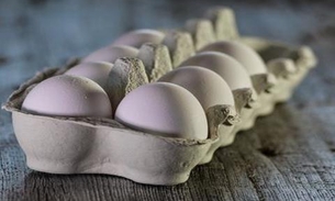 Preço do ovo atinge recorde com maior demanda após isolamento