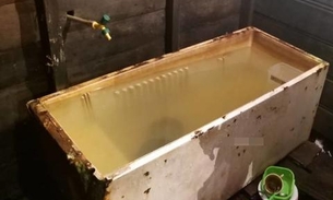 Pais são presos por torturar e afogar filha de 3 anos no Amazonas 