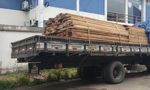 Em Manaus, motorista é multado em R$ 6 mil por transporte ilegal de madeira