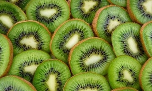 Kiwi é poderoso aliado para boa noite de sono; conheça benefícios