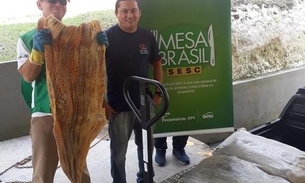 Combate ao Covid-19: Campanha Doe Vida divulga pontos de coleta em Manaus