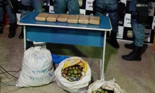 Após denúncia, drogas são encontradas dentro de sacos de tucumãs em barco no Amazonas