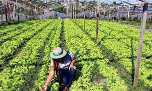 Produtor rural do Amazonas ganha cartilhas online grátis