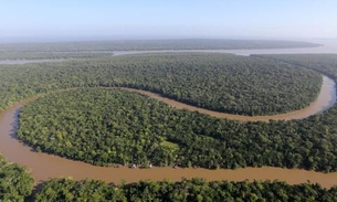 Justiça Federal revoga decreto de Bolsonaro sobre cultivo da cana-de-açúcar na Amazônia 