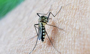 Casos de malária reduzem no Amazonas 