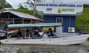 Erradicação da febre aftosa ganha mais três barreiras no Amazonas