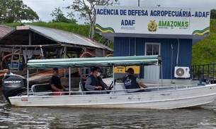 Barreiras de Vigilância Agropecuária são instaladas para evitar febre aftosa no Amazonas