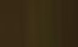 Bolsonaro diz que gostaria que brasileiros voltassem ao trabalho