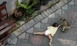 Criança é arrastada por macaco pela rua; veja o vídeo 