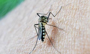 Manaus registra redução de quase 9% nos casos de malária
