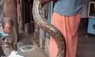 Funcionários encontram cobra gigante com 22 ovos em joalheria