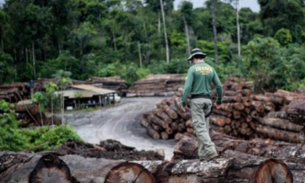 Amazonas é o terceiro estado com a maior taxa de alertas de desmatamento em abril