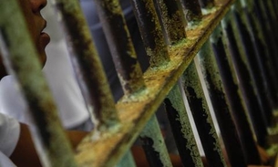 Juiz ordena governo tomar medidas urgentes para evitar proliferação da Covid-19 em presídio de Tabatinga