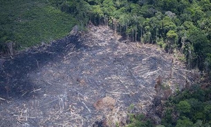 Desmatamento na Amazônia aumenta 64% durante quarentena