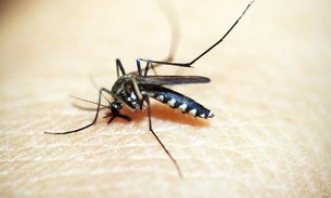 Manaus registra redução no mês de abril dos casos de dengue 