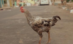 Gravado na Compensa, O Tempo Passa será exibido na TV neste domingo