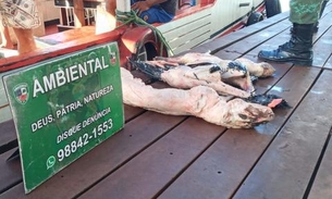 Toneladas de pescado e carne de animais silvestres são apreendidas em Manaus
