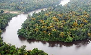 MPF condena pressa e pede ampla discussão do projeto de regularização fundiária na Amazônia