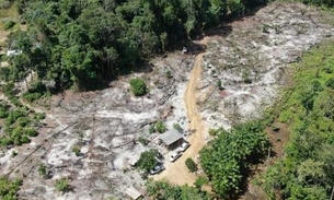 Ação desarticula grupo criminoso responsável por desmatamento ilegal no Amazonas