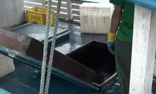 Polícia encontra carne de caça e pescado ilegal escondidos em embarcação no porto de Manaus