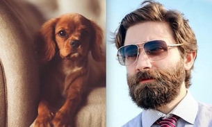 Sua barba é mais suja que os pelos de um cachorro, aponta estudo