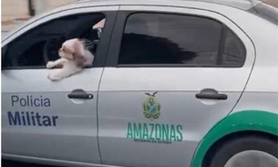 Vídeo: Cachorro é flagrado passeando em viatura da PM em Manaus