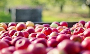 Veja alimentos que devem ser lavados, mesmo se for retirar a casca