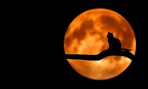 Eclipse: Lua de Morango poderá ser vista no Brasil