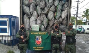 Motorista é detido transportando caminhão cheio de carvão vegetal ilegal em Manaus 