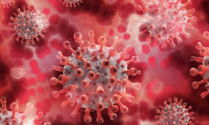 Plataforma de universidade volta a exibir dados de coronavírus no Brasil após suspensão temporária