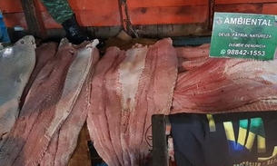 Ação policial apreende uma tonelada de pirarucu e madeira ilegal em porto de Manaus