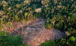Amazonas não deve autorizar atividades econômicas em áreas ameaçadas de desmatamento