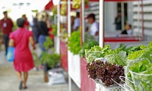 Feiras volantes retomam atividades em Manaus neste sábado