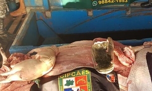Embarcações são apreendidas com pescado e combustível ilegal na orla de Manaus