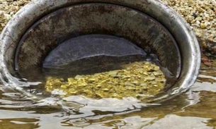 Garimpeiro fica milionário após encontrar pedras preciosas 