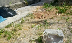 Feto é encontrado em quintal de casa em Manaus 