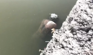 AO VIVO: Homem sequestrado é encontrado morto; Assista