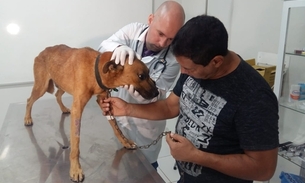 Novembro Azul Pet promove ação com triagem e exames gratuitos em Manaus
