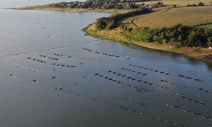 Foto: Divulgação/MPA