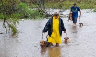 Nilton Lins lança campanha para ajudar animais afetados pela enchente no Sul