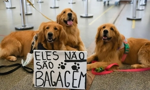 Foto: Divulgação/ EBC